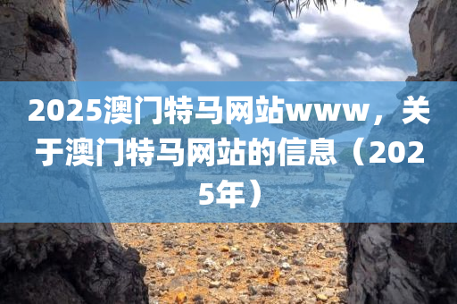2025澳门特马网站www，关于澳门特马网站的信息（2025年），关于澳门特马网站的信息（最新资讯与预测）